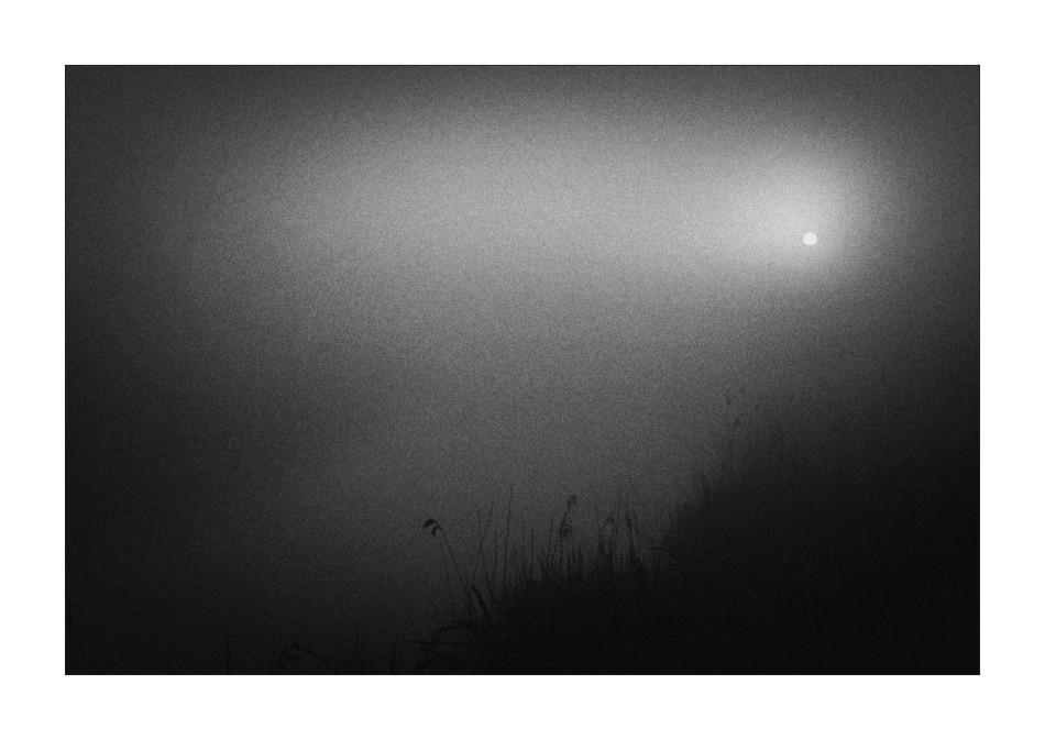 In This River. . Zdjęcie 337718