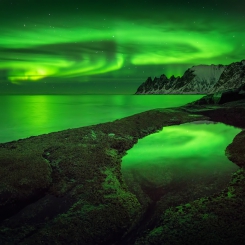 Tungeneset