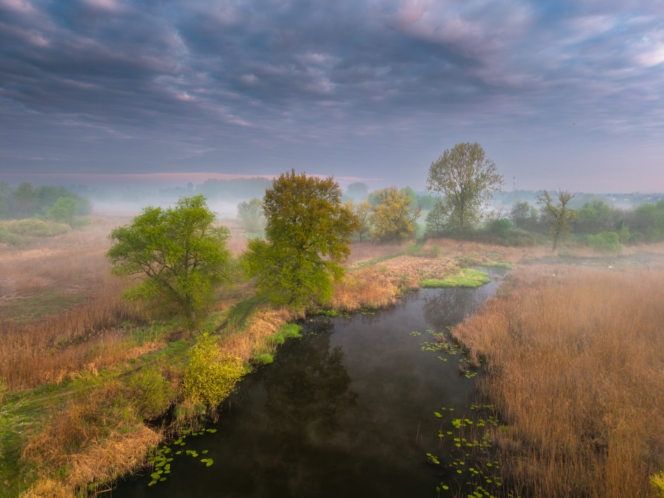 konczako - Spring.... PE. Zdjęcie 332295