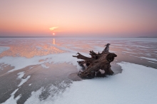 Ice and Fire 