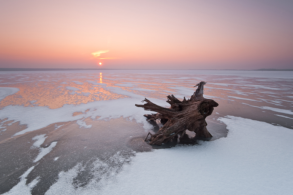 quaker - Ice and Fire . . Zdjęcie 113029