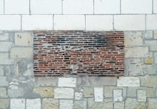 trzeciorzęd