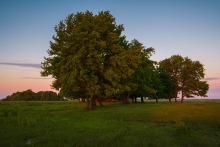 Biebrzański Park Narodowy
