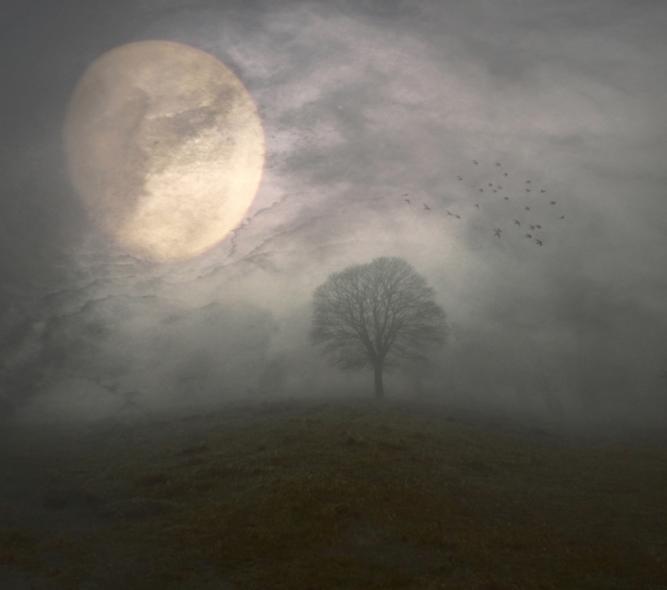 robin74r - Some Nights.... . Zdjęcie 315681