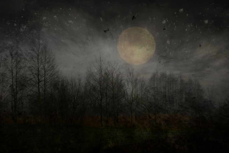 robin74r - Night of the Moon. . Zdjęcie 330464