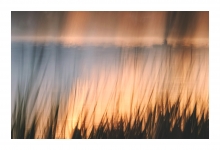 Morning Colors