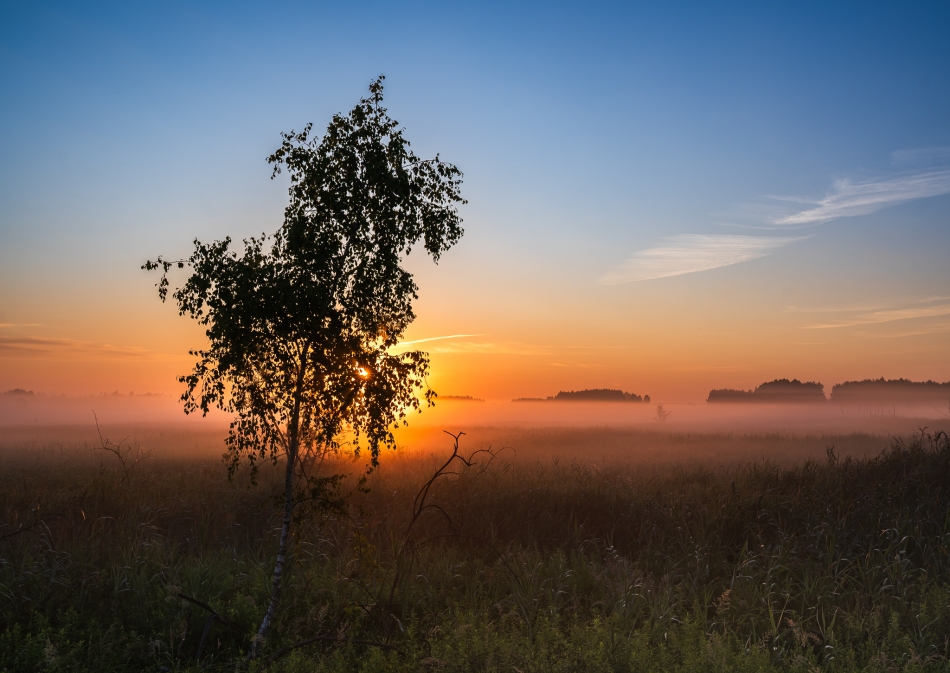 ranek. . Zdjęcie 333940