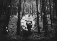 Tykanie -  Ticking
