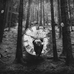 Tykanie -  Ticking