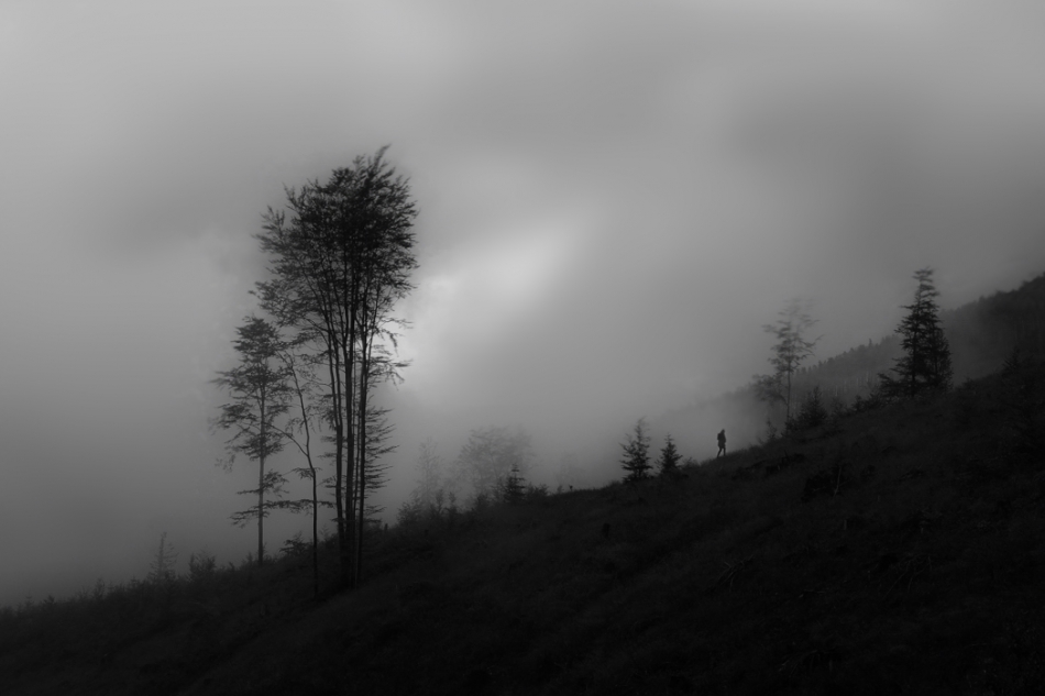 kajar - . . Zdjęcie 273558