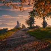 Autumn Road