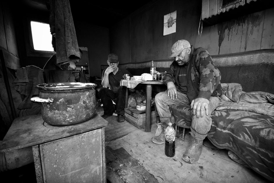 scots - zapomnieć o wszystkim. . Zdjęcie 120128