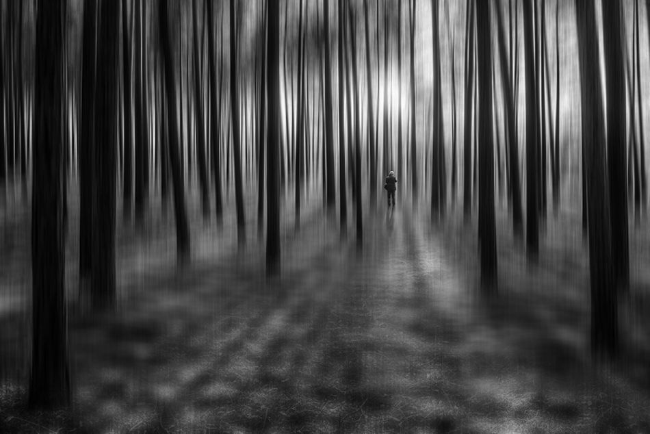 akrims - . . Zdjęcie 217654