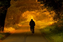 Loneliness of the Long ...