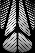 Podniebna symetria