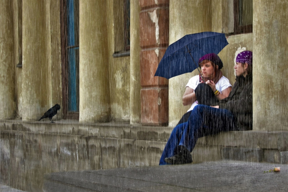 Deszczowa piosenka. . Zdjęcie 336549