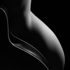 Musical bodyscape 9626