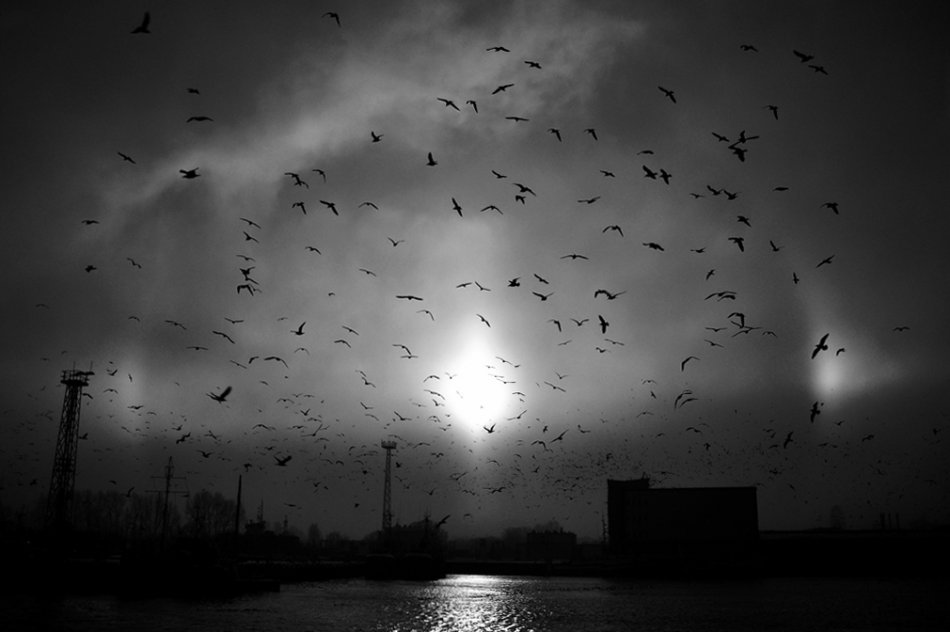 tomaszk - oko saurona. tęcza w B&W. Zdjęcie 34717