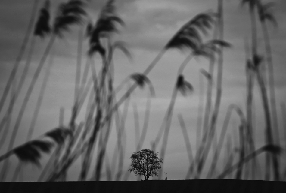 mariusz_je - . . Zdjęcie 324111