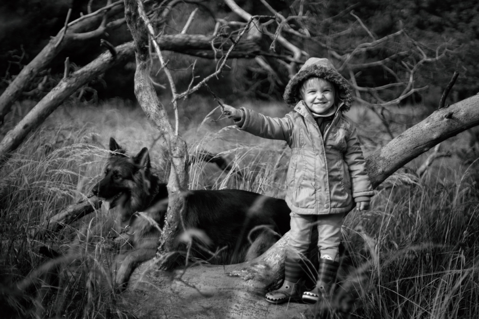 wildwhisper - Młode Wilki . Cały tydzień walczyliśmy o zdrowie i czekaliśmy na pogodę by wyjść na dwór...   Zdrowie odzyskane.  . Zdjęcie 278060