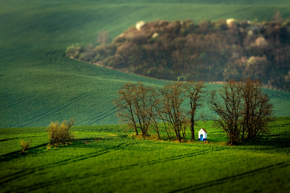 bonnieandclyde - The Chapel. . Zdjęcie 126673