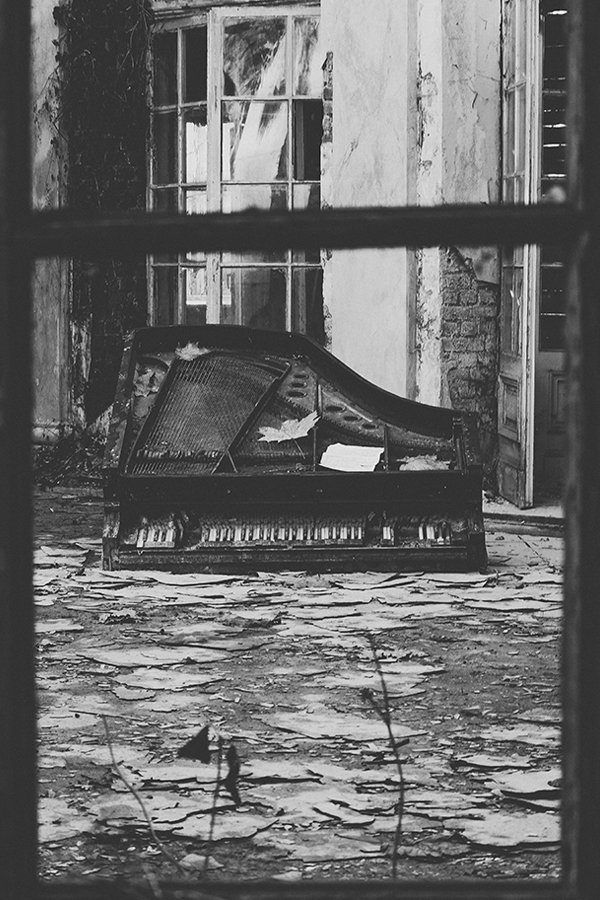 Oskar_N - . . Zdjęcie 288713