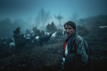 In the fog