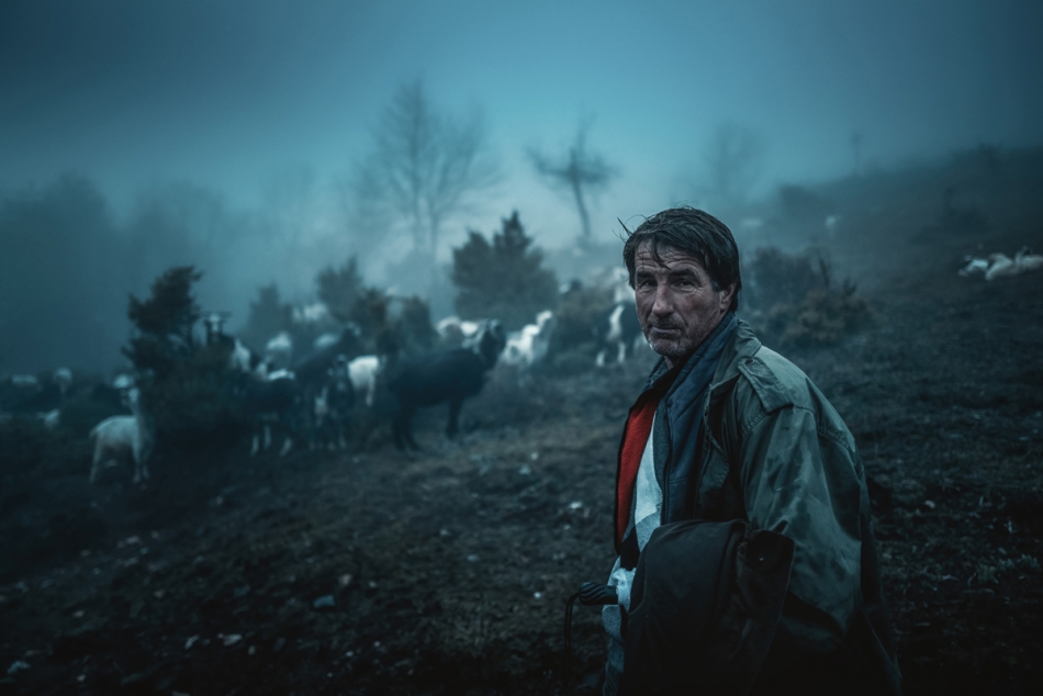 vladimir79 - In the fog. . Zdjęcie 297903