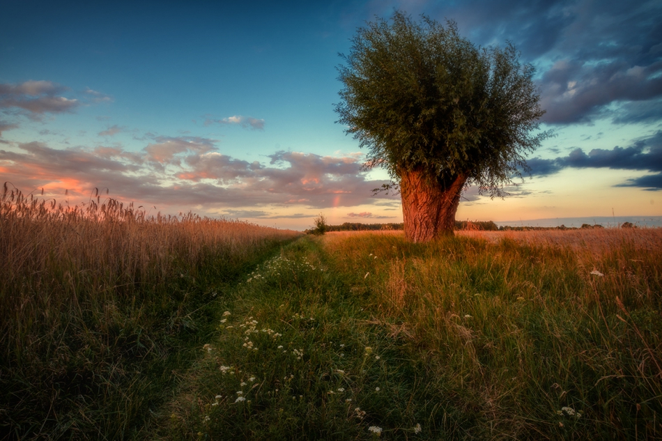 robert_cz - . . Zdjęcie 317275