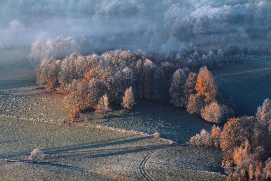 bonnieandclyde - Days of Autumn Trees.... . Zdjęcie 328651