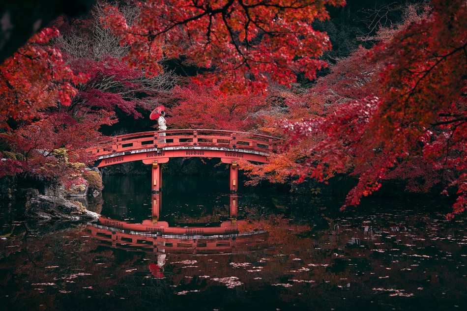 karol_nienartowicz - Daigo-ji Temple. . Zdjęcie 337637