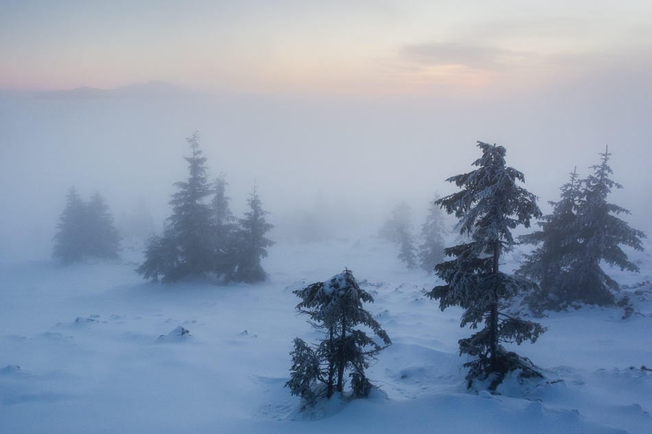 pawb72 - W porannej mgle na stokach Pilska..  Beskid Żywiecki. Grudzień 2015. . Zdjęcie 255256