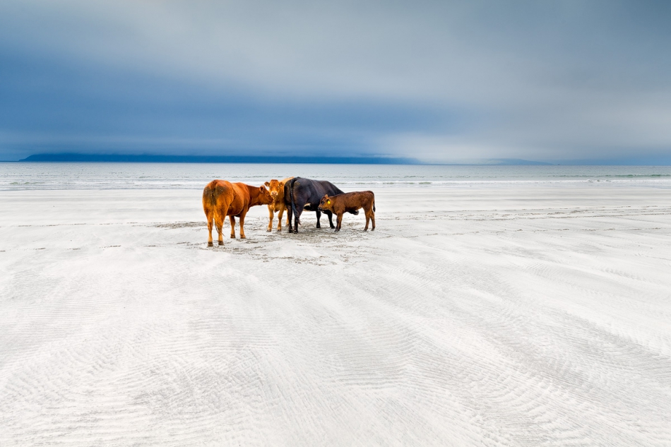 hubert_m - Laig bay Eigg. . Zdjęcie 215844