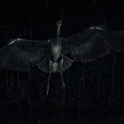 Heron's Galaxy