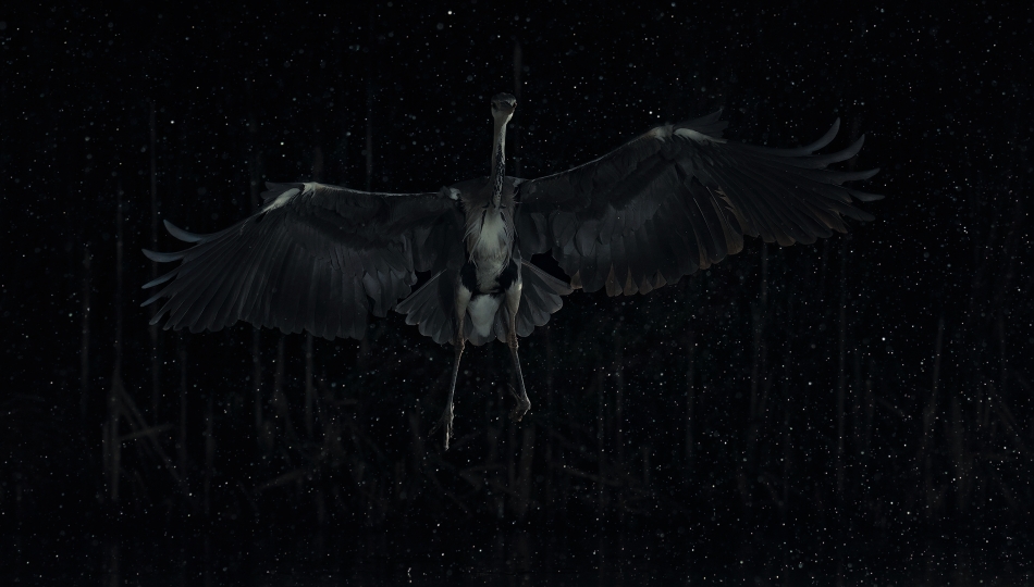 therion - Herons Galaxy. . Zdjęcie 334157
