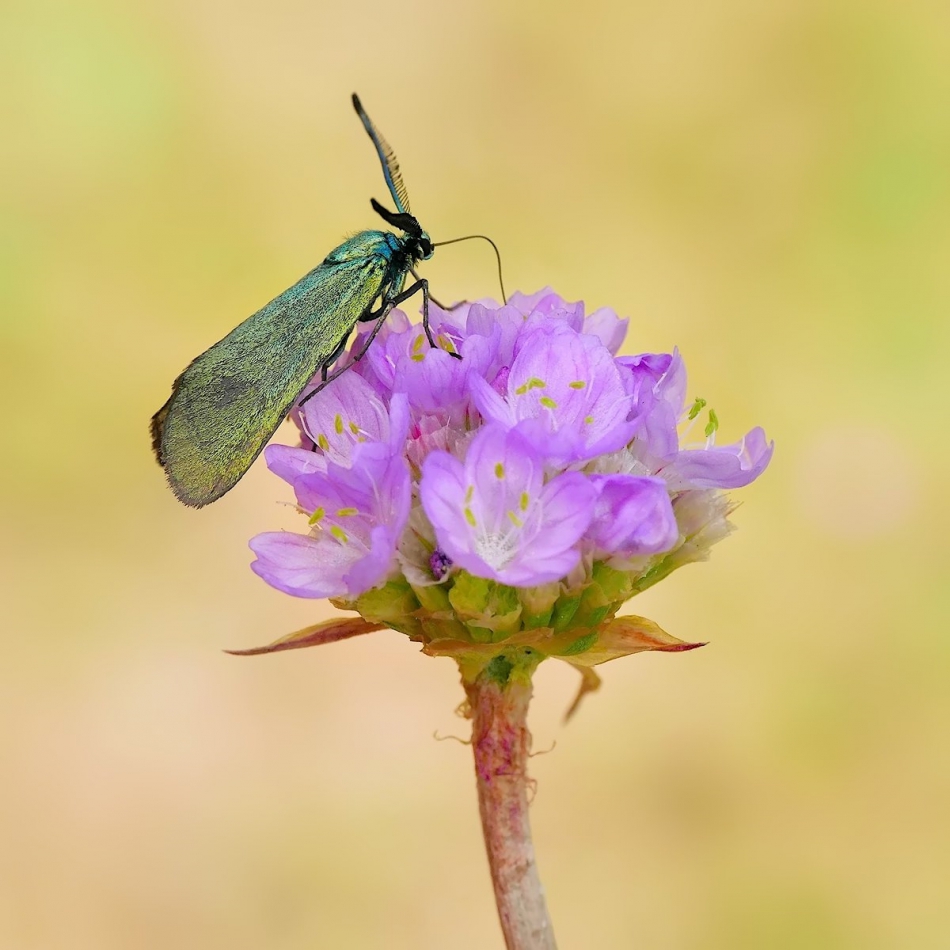 keni - . . Zdjęcie 308815