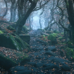 Follow the Scent of Fall