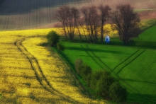Pani Wiosna