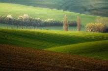 Bracia...