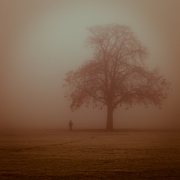 Mist