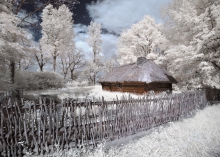 Fairy Farm...