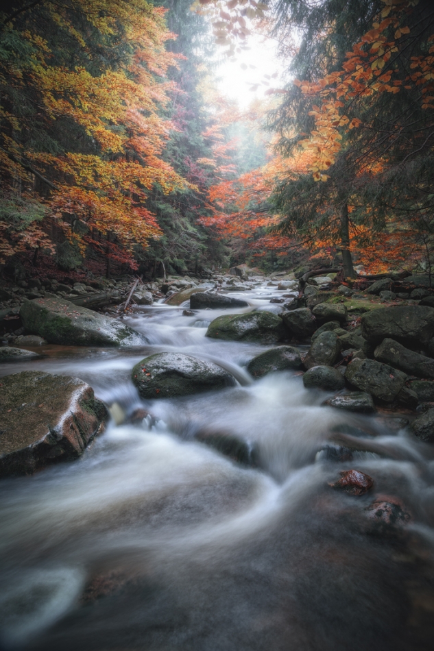 bonnieandclyde - The Heart of Autumn.... . Zdjęcie 320558