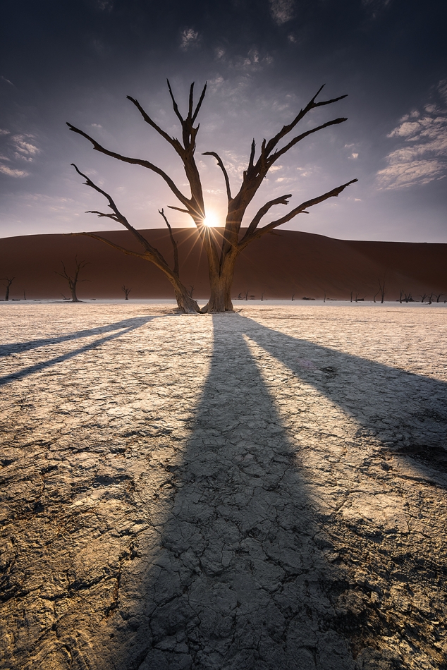 karol_nienartowicz - Deadvlei. Dolina Śmierci, Namibia. Zdjęcie 326062