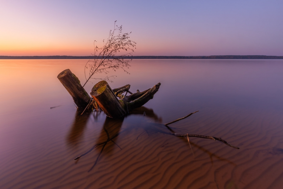 radson_foto - Zachód. Zalew Sulejowski. Karolinów (woj. łódzkie). . Zdjęcie 328873