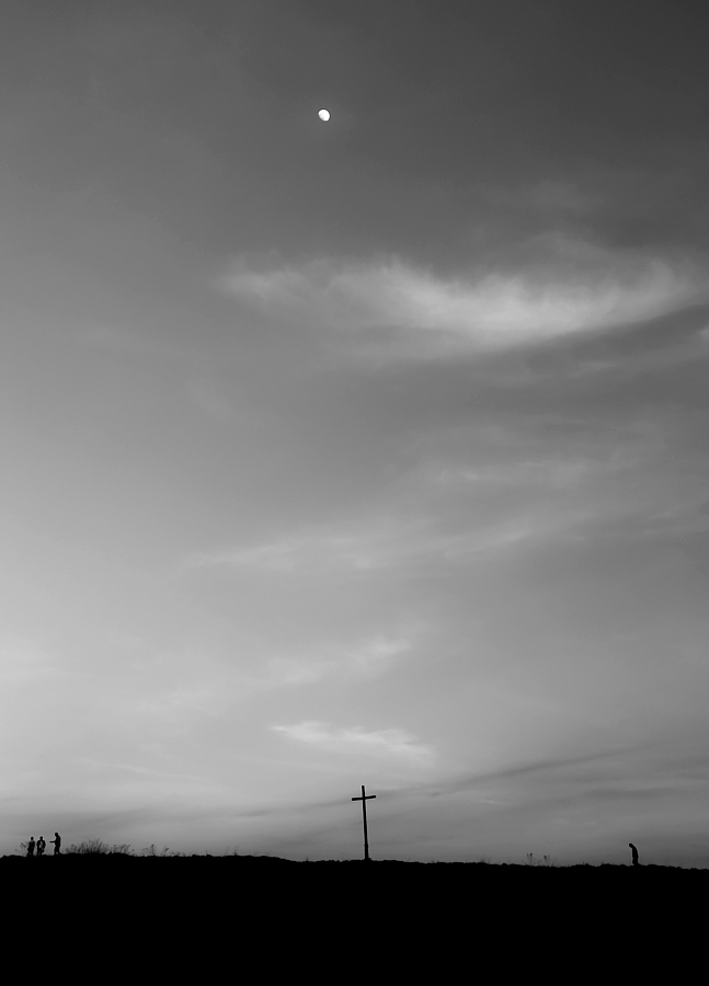 mariusz_je - . . Zdjęcie 317060
