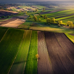 Wiosna na Ponidziu
