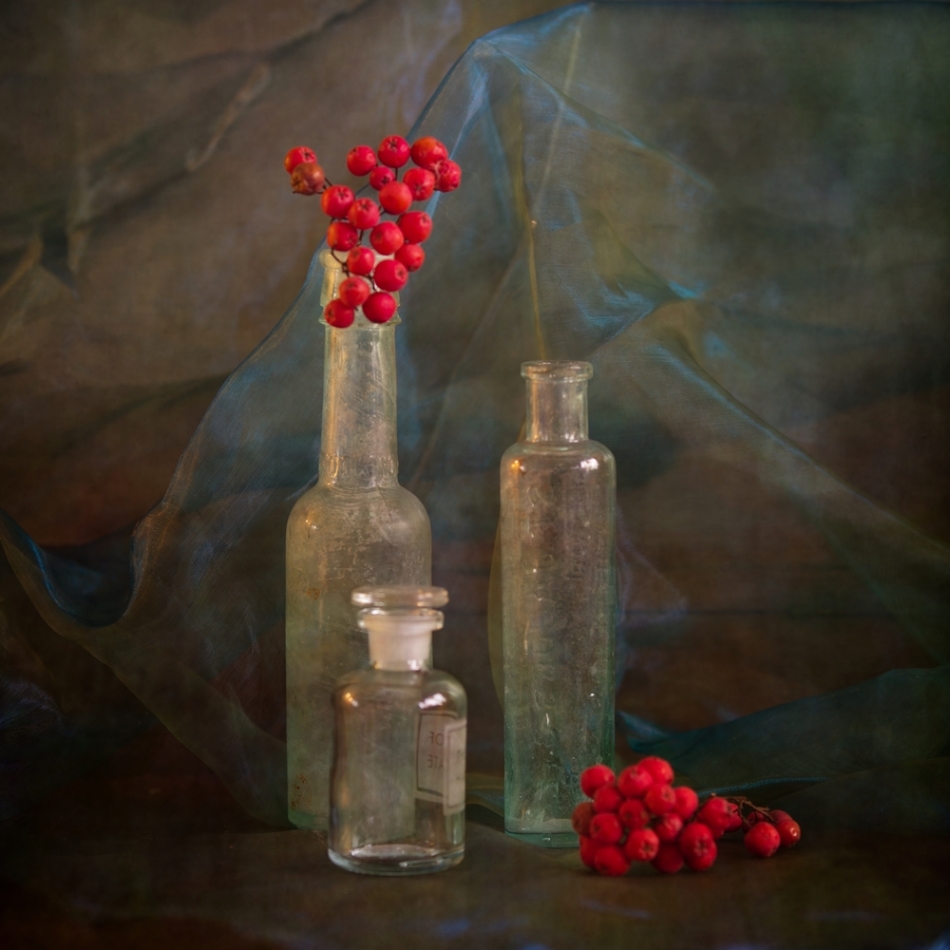 vengee - martwa natura z jarzębiną. . Zdjęcie 334557
