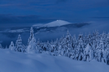 Winter Awakening...III