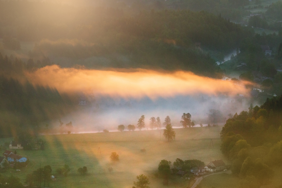 Morning Light .... . Zdjęcie 334580