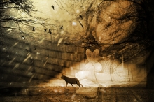 In My Dreams...